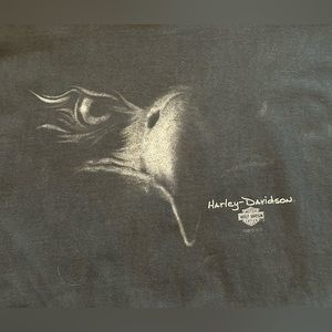 2002 Harley Davidson motorcycle Cajun Lafayette Louisiana T-shirt men’s large